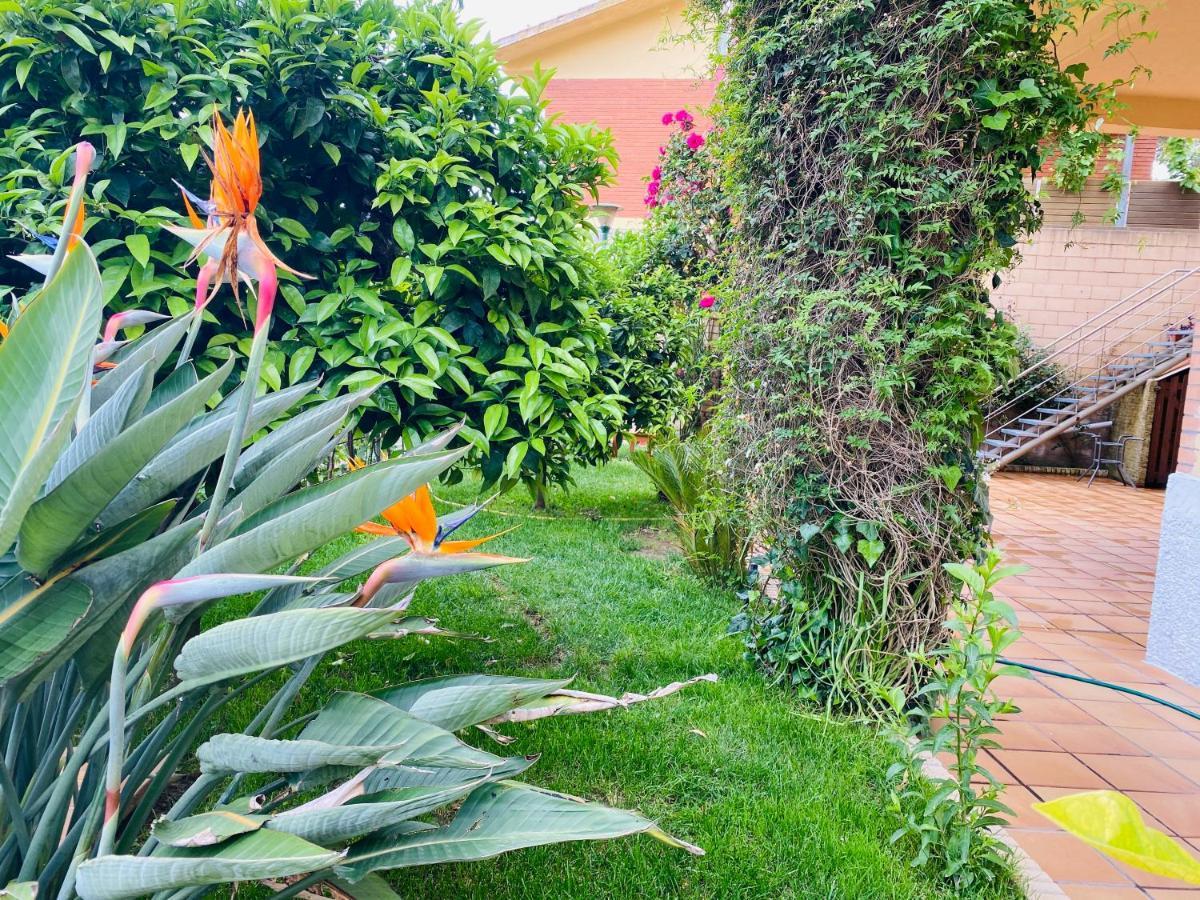 Apartamento Mar Y Montana Argentona Exterior foto