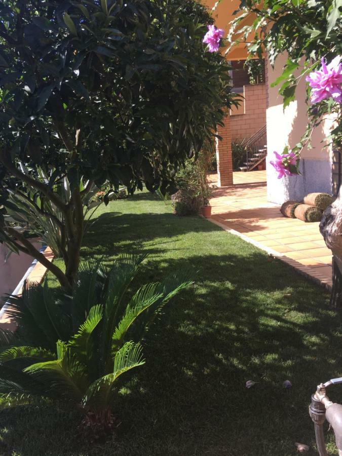 Apartamento Mar Y Montana Argentona Exterior foto